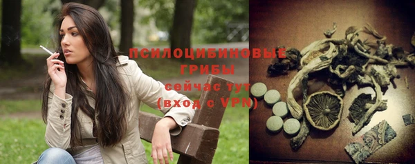 прущие грибы Сосновка